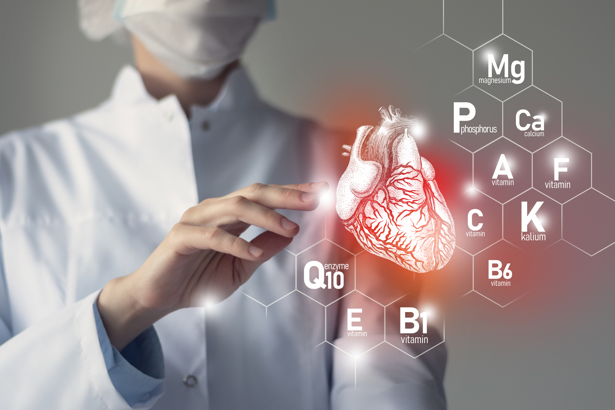 Modelul prezintă inima, vitaminele și mineralele și, de asemenea, coenzima Q10.